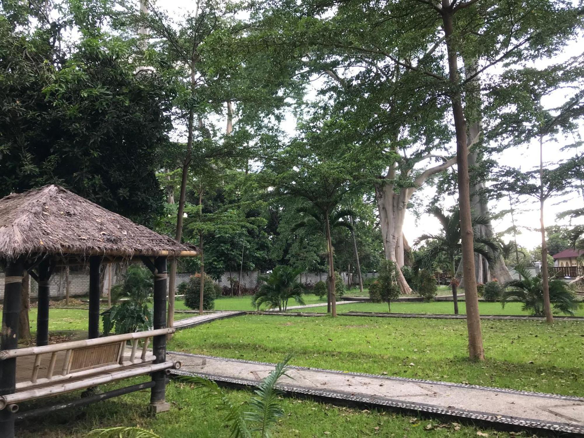 Pohon Purba Resort & Restaurant Labuhan Pandan Exterior foto